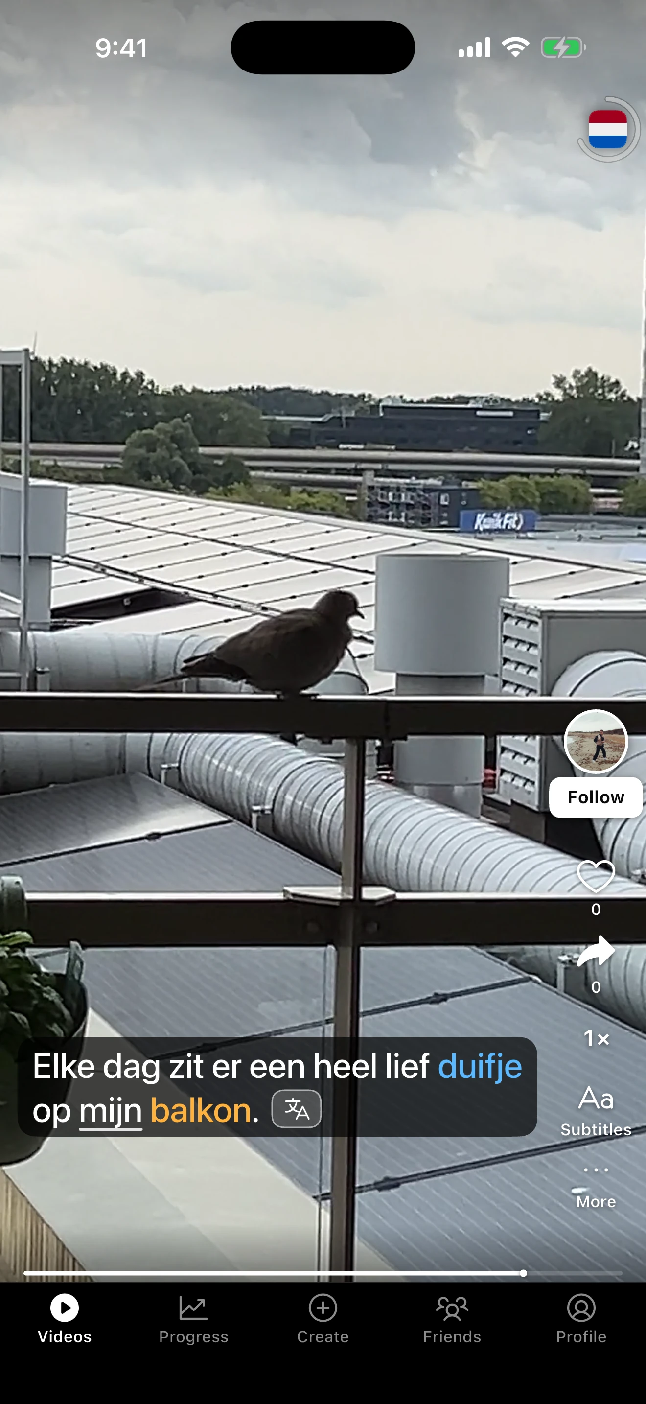 A Dutch video of a dove on a balcony railing, with “duifje” marked blue and “balkon” marked amber in the subtitles